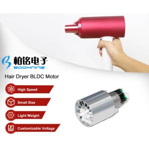 Hair Dryer Brushless DC Motor