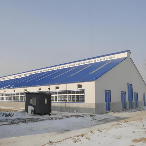 Dairy Agricultural Steel Framed Building Easy Install Prefabricated Light Steel