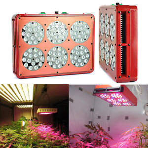 Quality 450w apollo led grow light discount with CE, RoHS, FCC, CCC for sale