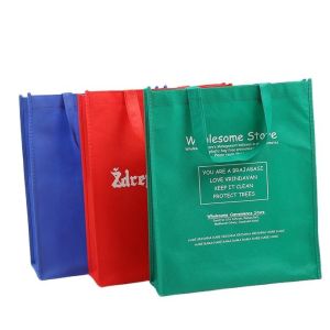 Promotional PP Laminated Non Woven Shopping Bag