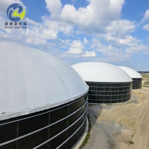 Gas Storage Double Membrane PVC Biogas Balloon On Biogas Digester 20m3 To
