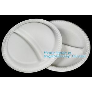 Eco-Friendly biodegradable compostable sugarcane bagasse 7inch food plate