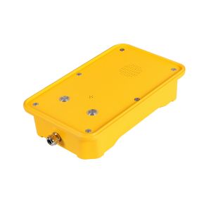 Analogue SIP GSM Weather Resistant Telephone With Two Buttons