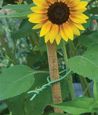 3.5mmx5.0mm Plant Twist Ties Garden Stake Accessories