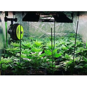 4x4 480W LED Grow Light
