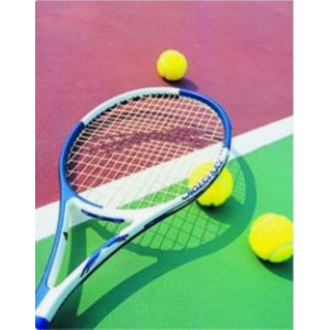 Q235 Tennis Ball Rubber Vulcanizing Press 2.2kw