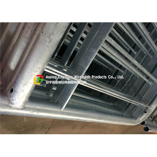 Hot Dipped Galvanized Metal Safety Railing With Fish Tail PUB Standard