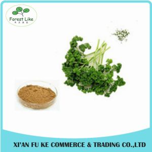 China Parsley / die Peterselie / prezzemolo Extract Powder on sale