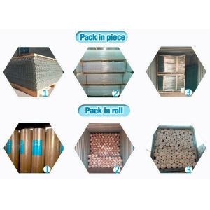 Hot Dipped Galvanized Welded Iron Wire Mesh For Anti Corrosion Security Fencing