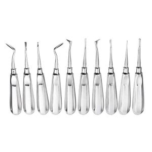 Stainless Steel Dental Surgical Instruments Implant Dentures Upper Lower Root