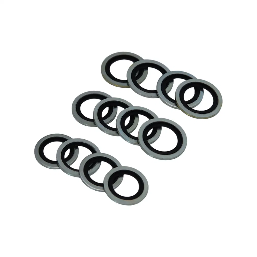 TCN Oil Seal With O-Ring Skeleton Seal And Combination Washer