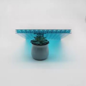 Multi Shape X Structure Polycarbonate Sheet Multiwall Hollow Polycarbonate Sheet