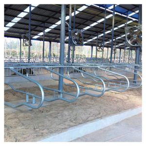 Single Side Ergonomic bending Cow Farming Equipment Cattle Free Stalls