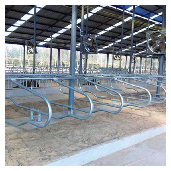 Buy Single Side Ergonomic bending Cow Farming Equipment Cattle Free Stalls at wholesale prices
