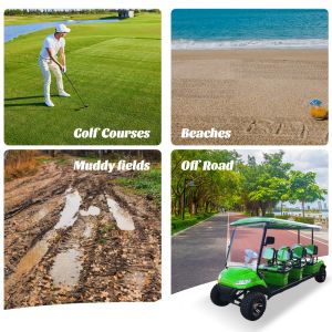 72v 100ah Lithium Iron Battery 5KW AC Motor 6 Seater Electric Golf Buggy Cart