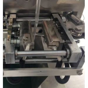 Npack Automatic Ketchup Packet Filling Machine Vertical Packing