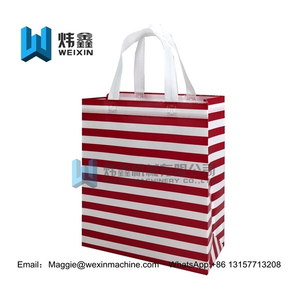 Promotional Foldable Reusable Laminated Non Woven Bag 100gsm