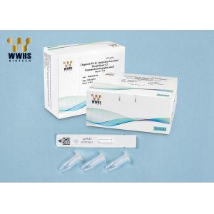 Lp-PLA2 Rapid Test Kit IFA IVD High Stability Assay
