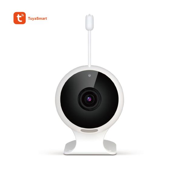 Buy 1080p Indoor Baby IP Camera(IPC163) at wholesale prices