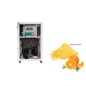 Mini Food Home Freeze Drying Equipment 6Kg 8Kg 10Kg