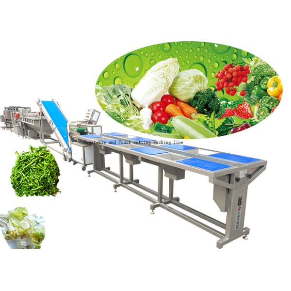 Buy Customized Vegetable Processing Equipment / Fruit And Vegetable Washer Machine at wholesale prices