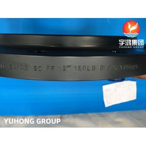 ASTM A105 A105N Carbon Steel Flanges Bridas