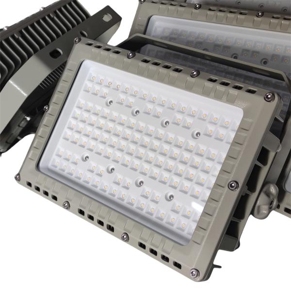 500 Watt 90-295Vac Atex Floodlight Customizable