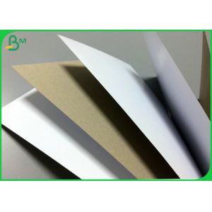 Different Gram Coated White Top Test Liner Board Natural Pulp