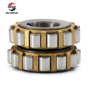 500752307 Nylon Cage Double Row Eccentric Roller Bearing 35x86.5x50mm
