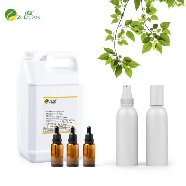 Buy Forest Car Fragrance Used In Car Air Freshener Fragrance at wholesale prices