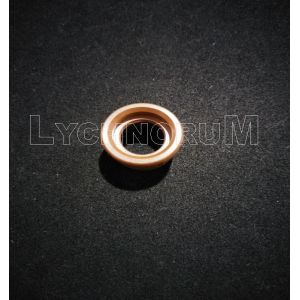 Quality HF80i Kjellberg Plasma Consumables Swirl Ring G101 Dia.17mm Height for sale