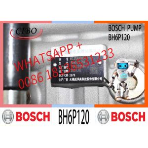 Engine Parts Shanghai C6121 3306 Diesel Engine Longbeng Fuel Injection Pump