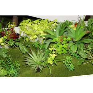 Artificial Plastic Grass Wall/Green Plant Wall