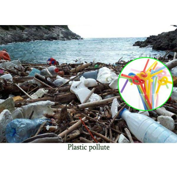 Drinking Straw Paper Roll Eco - Friendly Printed FSC & FDA 60g 135g Drinking Straw Paper Roll