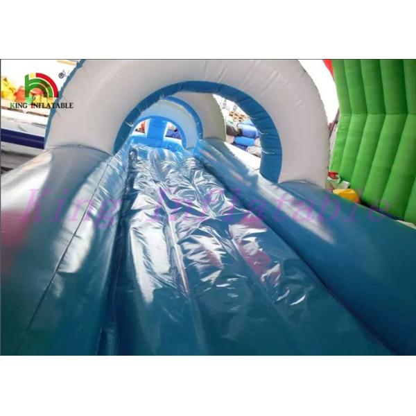Shark PVC Inflatable Water Slide , Custom Amazing Thrilling Mini City Slide