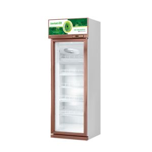 Eco Friendly Commercial Vertical Glass Display Coolers For Beverage