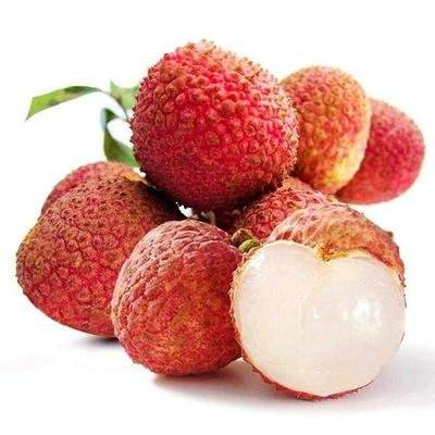 Frozen Whole Peeled Lychee in Bulk Carton Packaging IQF Sweet Tasted Lichee