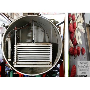 OEM ODM Food Vacuum Freeze Dryer PLC Control 500kg/Batch