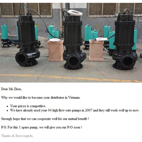 3 Phase Cast Iron Submersible Sewage Pump For Raw Rain Water Wastewater
