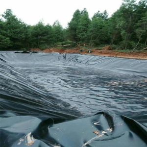 Ensure Leak-proof Water Storage Tanks with HDPE Geomembrane Double Smooth