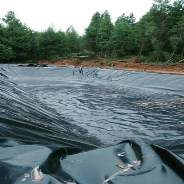 Ensure Leak-proof Water Storage Tanks with HDPE Geomembrane Double Smooth