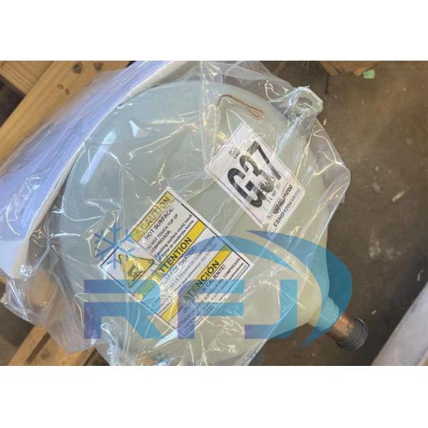 CSHD161K0A0M Scroll Compressor Refrigeration Compressor R410A 380~415-3-50Hz 460-3-60Hz