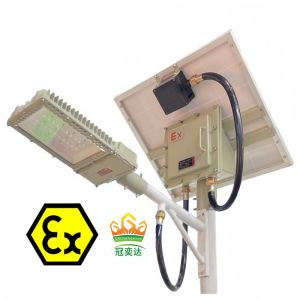 Quality CRI Ra≥80 Crown Extra GYD970L Explosion-Proof LED Light Zone 1 Flameproof Lighting Solution 200W IP66 ATEX/IECEx/CNEX OEM for sale