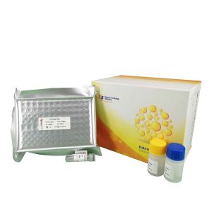 Quality 96 Wells Customized Mouse High Sensitive Immunoglobulin Sandwich ELISA Kit for sale
