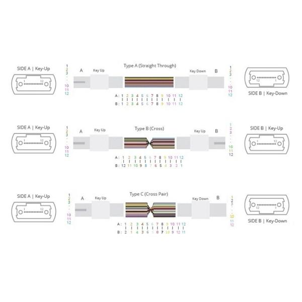 OM3 12F 3.0mm MPO Trunk Cable MPO Female to MPO Female 50 / 125μm With LSZH Aqua 10M Polarity B MPO Fiber Cable