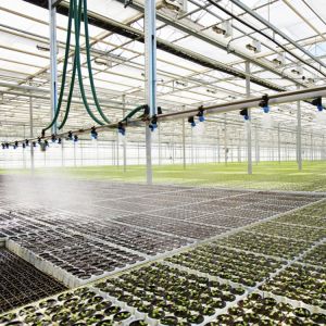 Poly Drip Greenhouse Irrigation System For Horticultural Farm