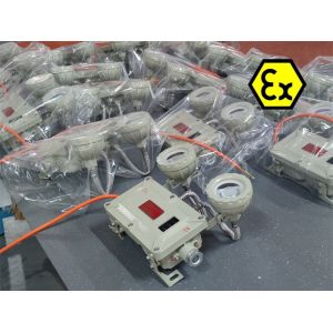 Quality Zone 1 Flameproof Emergency Light 2*5Watt For Marine Applications for sale