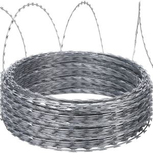 China Galvanized Steel Wire Razor Barbed Wire Fence for Garden Security and Protecting Mesh on sale
