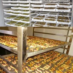 Customized Fruits/Meats/Clothes Dehydrator/Dryer/ Fruit Drying Machine