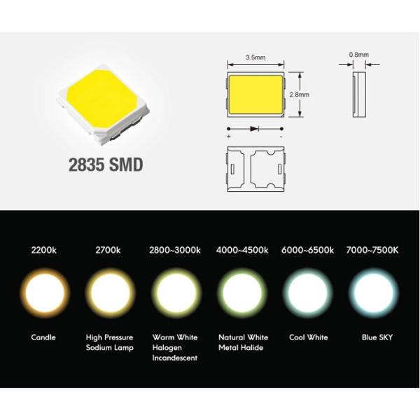 2835 Flexible LED Strip Lights DC12V 24V 60LEDs 120LED 240LEDs per meter IP65 IP67 IP68 waterproof